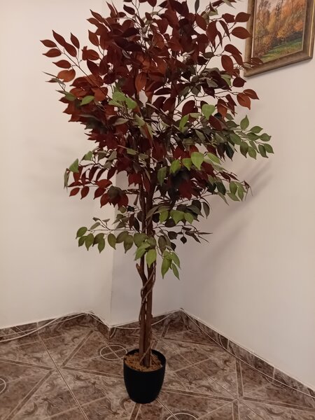 Mobilier complet pentru birou,